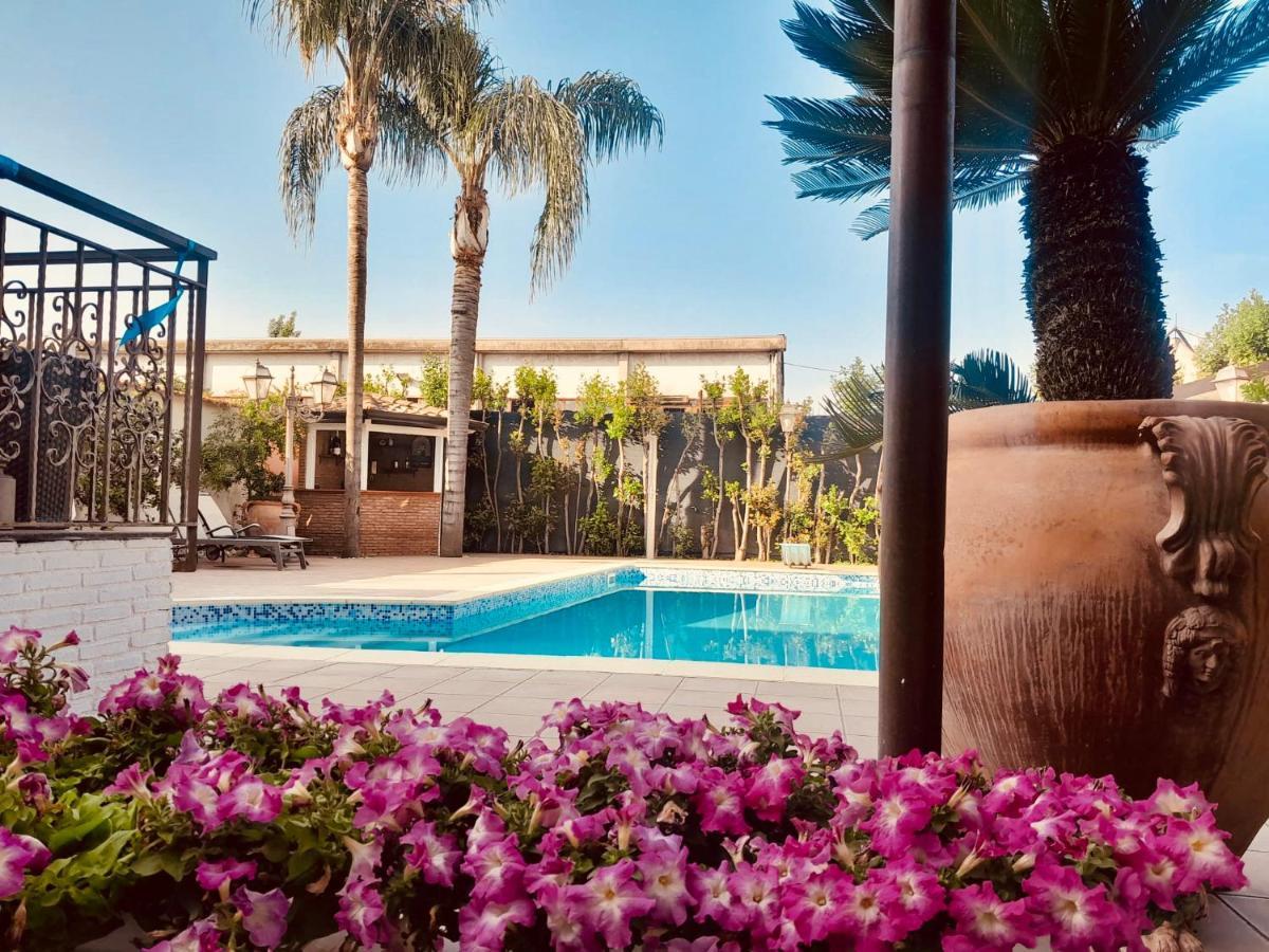 Sofi House-Appartamento In Villa Con Piscina 스카파티 외부 사진