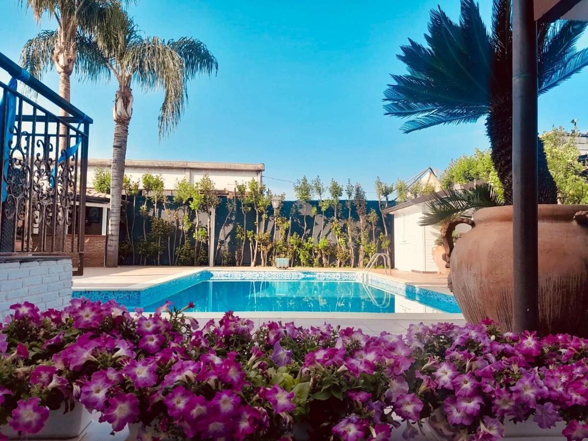 Sofi House-Appartamento In Villa Con Piscina 스카파티 외부 사진